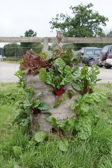 bag-garden.jpg