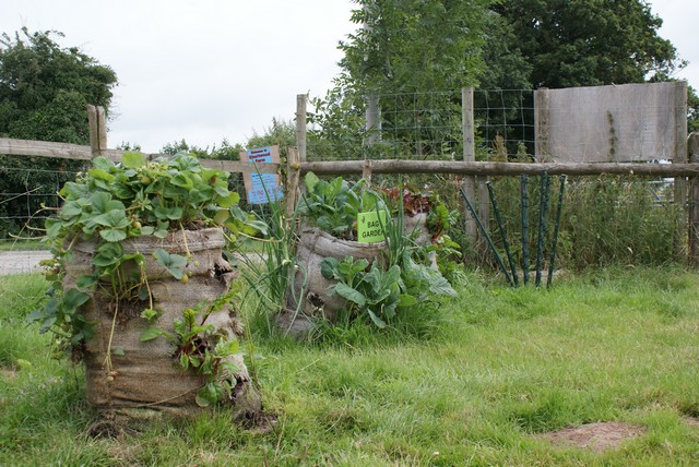 bag-gardens.jpg