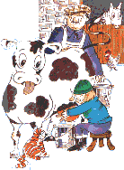 Milking a Cow